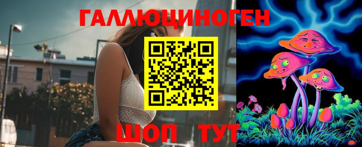 Реж  Псилоцибиновые грибы мухоморы  Вход с VPN  Галлюциногенные грибы Psilocybine cubensis 
