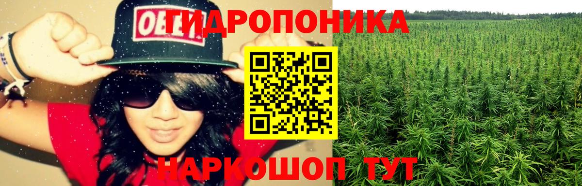 Конопля ГИДРОПОН Реж